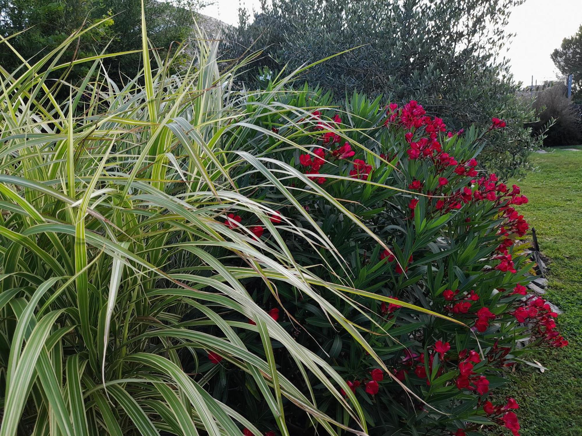 Chambre Dans Un Ecrin De Verdure Angrie Exterior foto